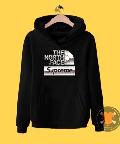 Supreme x The North Face Metallic Hoodie